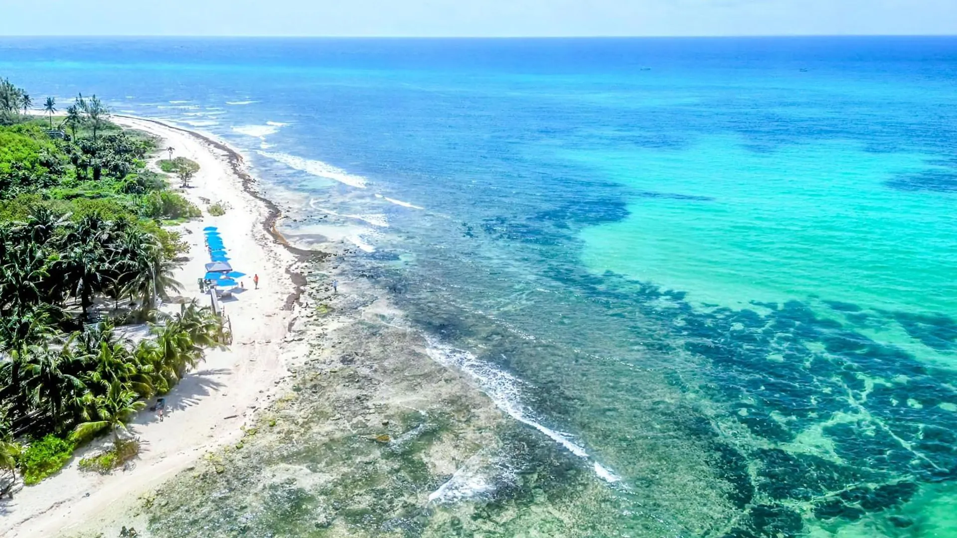 A5 Beachside Bliss Family Hawaiian Themed Quad Studio Kitchen Ac Playa del Carmen 0*,  Mexico